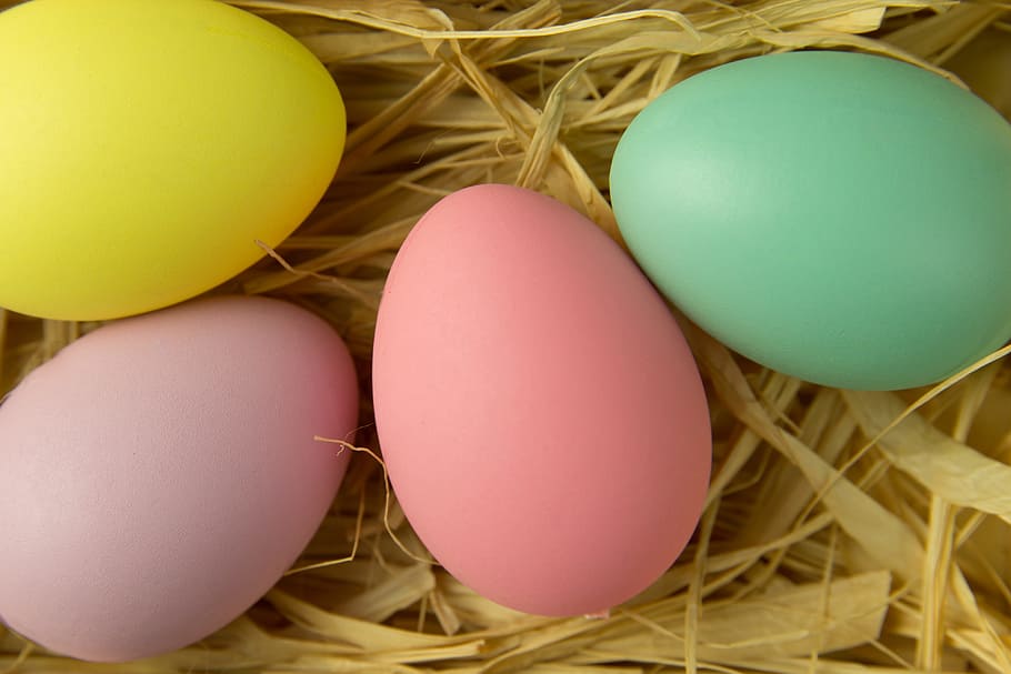 Overhead shot of Easter eggs, various, food, animal Egg, multi Colored HD wallpaper