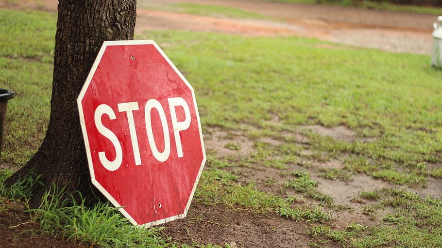 1668x2224px | free download | HD wallpaper: stop, sign, red, traffic ...