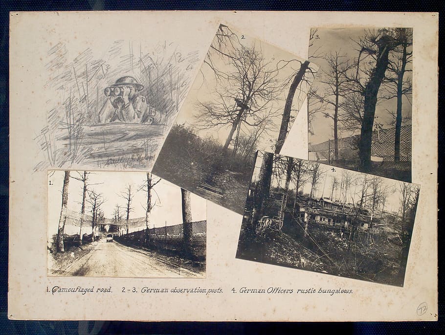 forest photo with frame, camouflaged, road, observation posts