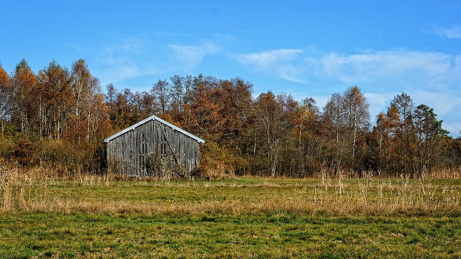 autumn, landscape, trees, scale, hut, nature, golden autumn HD wallpaper