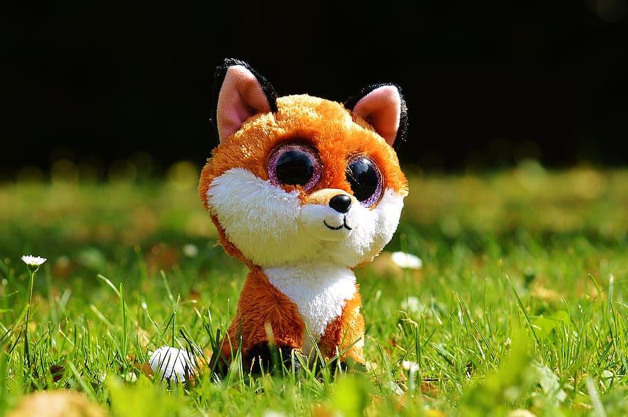 fuchs, animal, nature, cute, sweet, glitter eyes, stuffed animal HD wallpaper