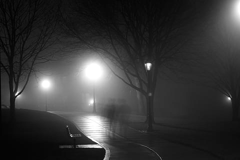 park, night, path, lamp posts, lights, dark, evening, illuminated HD wallpaper