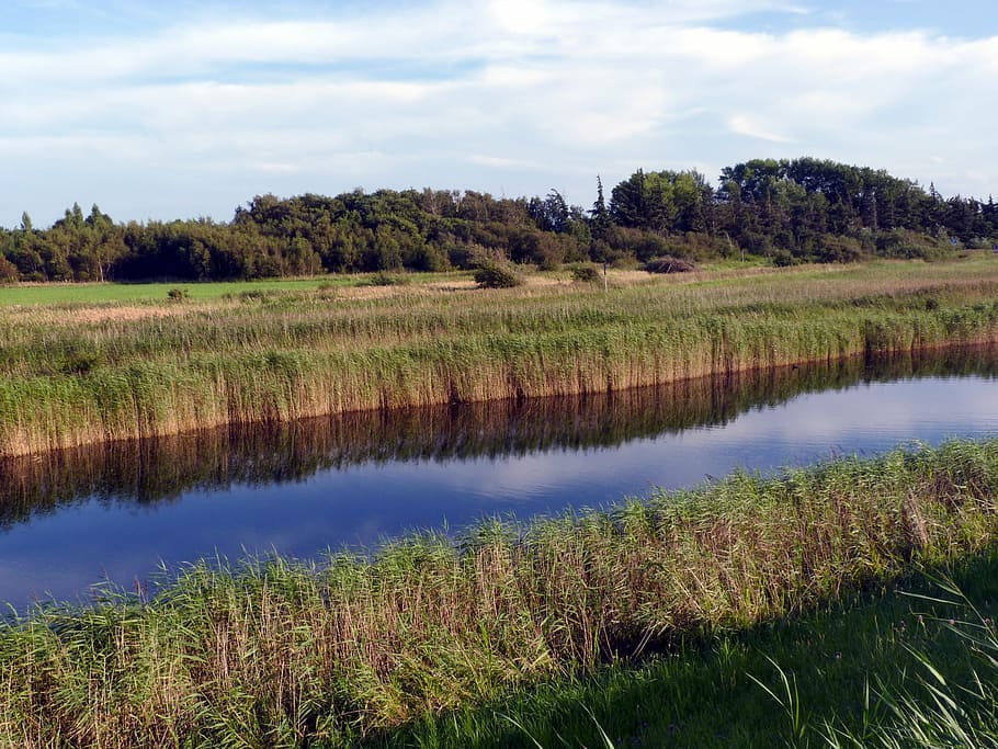 fehmarn, wallnau, evening light, nature, rest, landscape, lake HD wallpaper