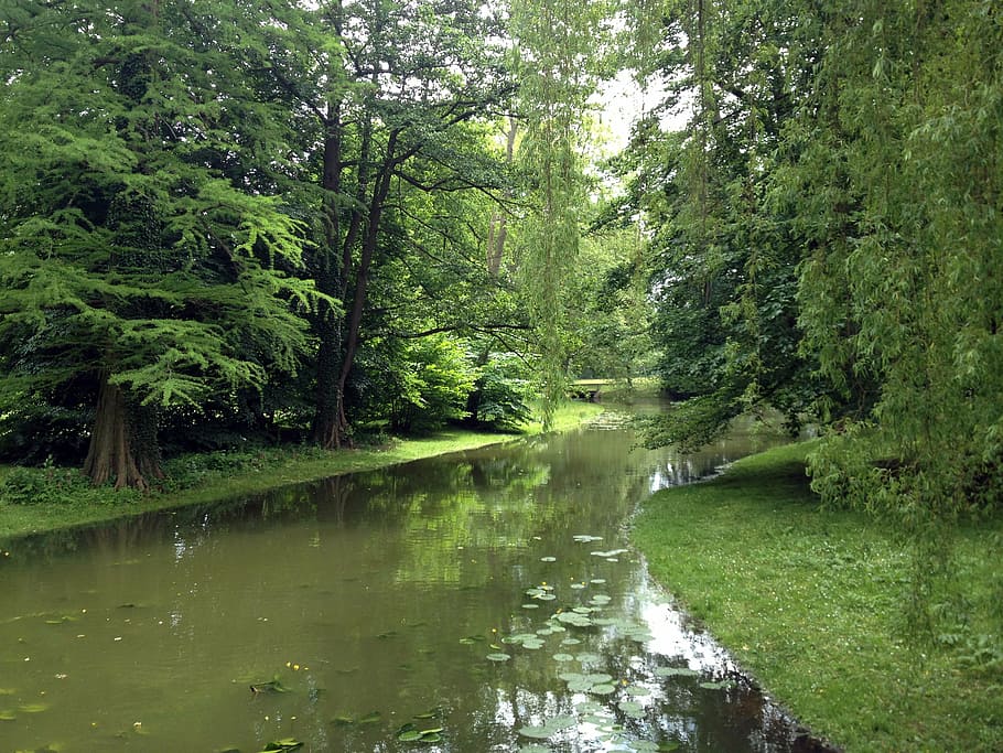 schwerin, park, trees, nature, forest, river, water, outdoors HD wallpaper