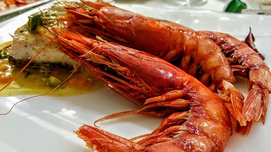 shrimp, fish, appetizer, sushi, first plate, food, kitchen HD wallpaper