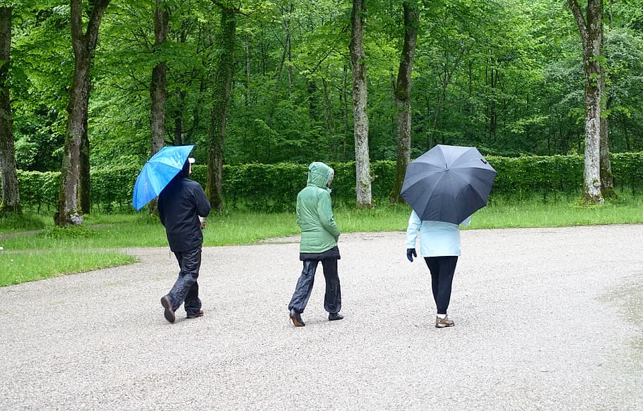 Pedestrians, Walking, three, rain, umbrella, people, outdoors, HD wallpaper