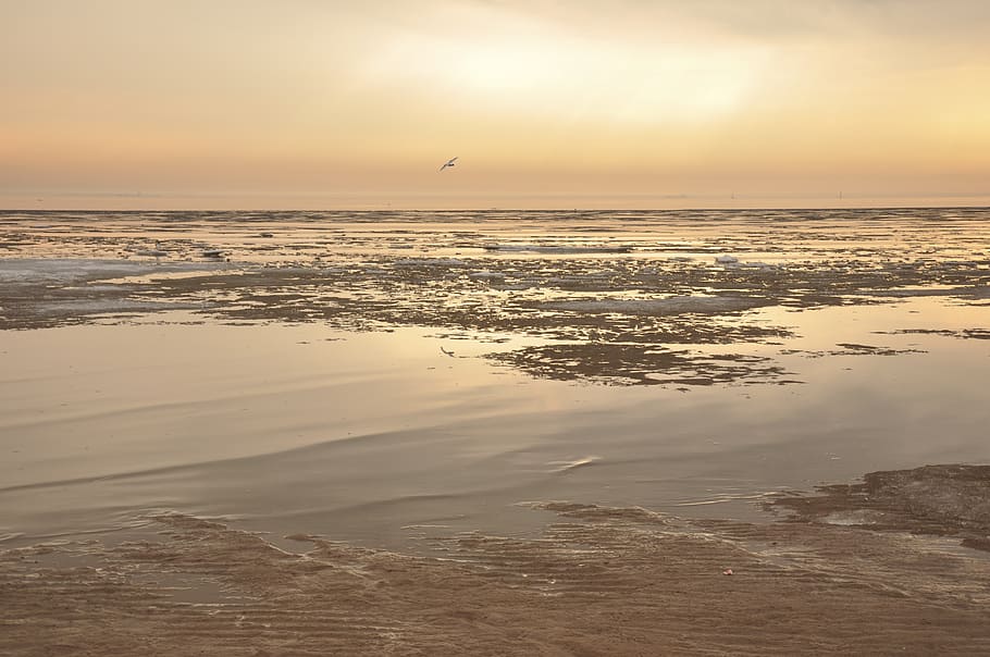 water, sand, beach, sunset, sky, sea, scenics - nature, beauty in nature HD wallpaper