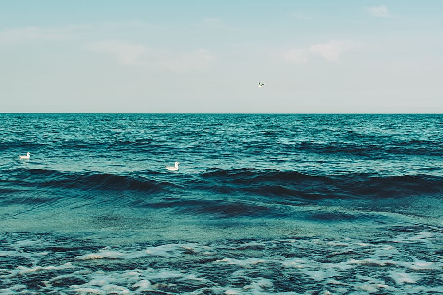ocean, sea, waves, water, seagulls, summer, sunshine, sky, horizon over water HD wallpaper