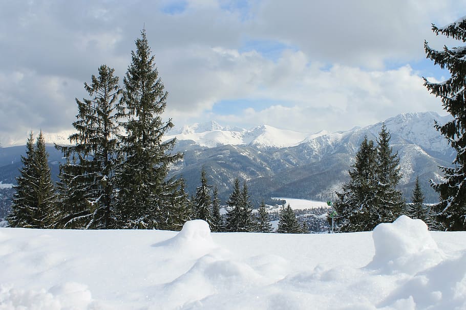 mountains, winter, view, snow, tatry, tatra mountains in winter HD wallpaper