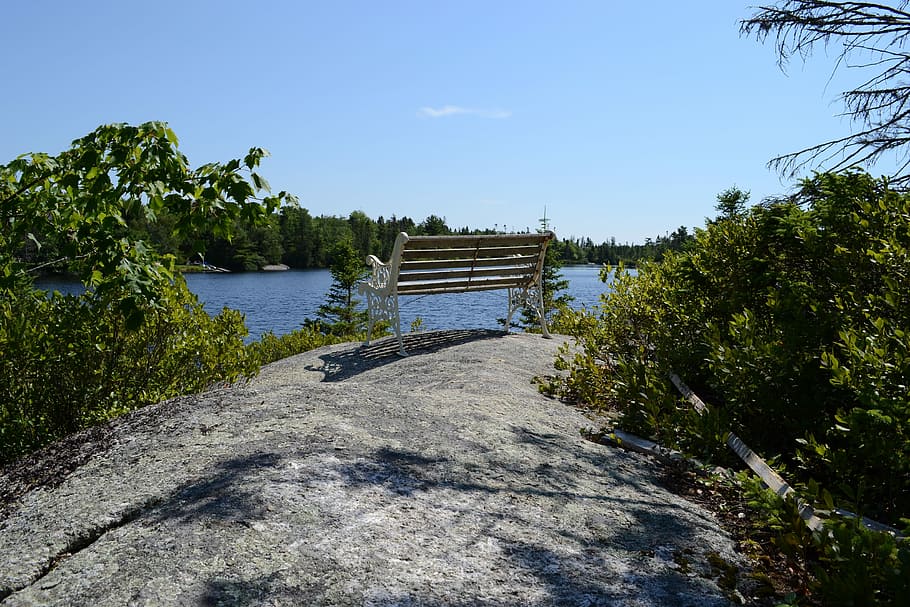 Bench, Lake, Trees, Nature, Summer, outdoor, peaceful, tranquil HD wallpaper