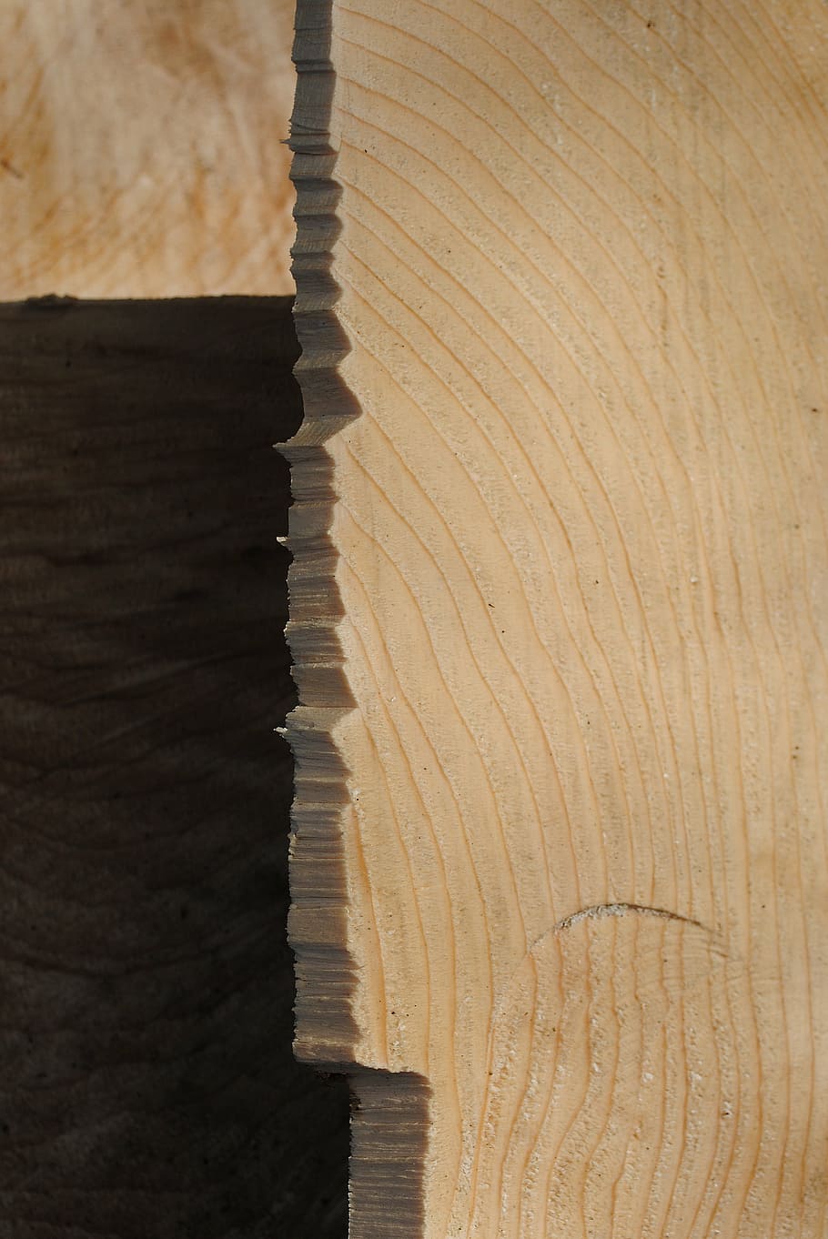 wood, tranche, broken, zig zag, fracture, annual rings, structure HD wallpaper
