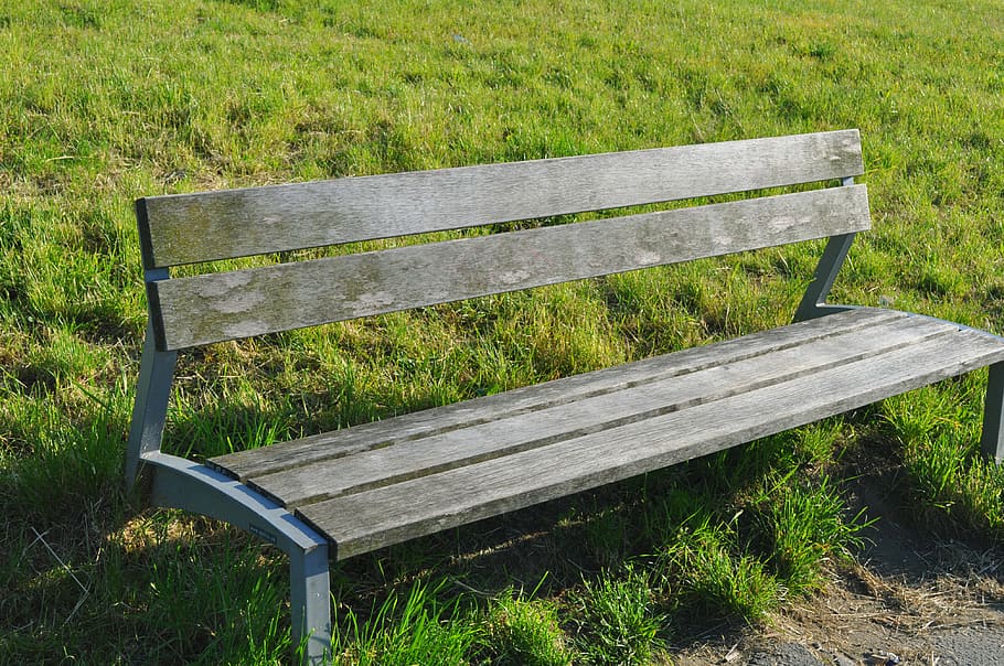 bench, empty, grass, seat, wooden, nature, wood - Material HD wallpaper