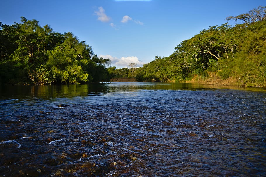 water, nature, river, tree's, flow, peaceful, motion, stream HD wallpaper
