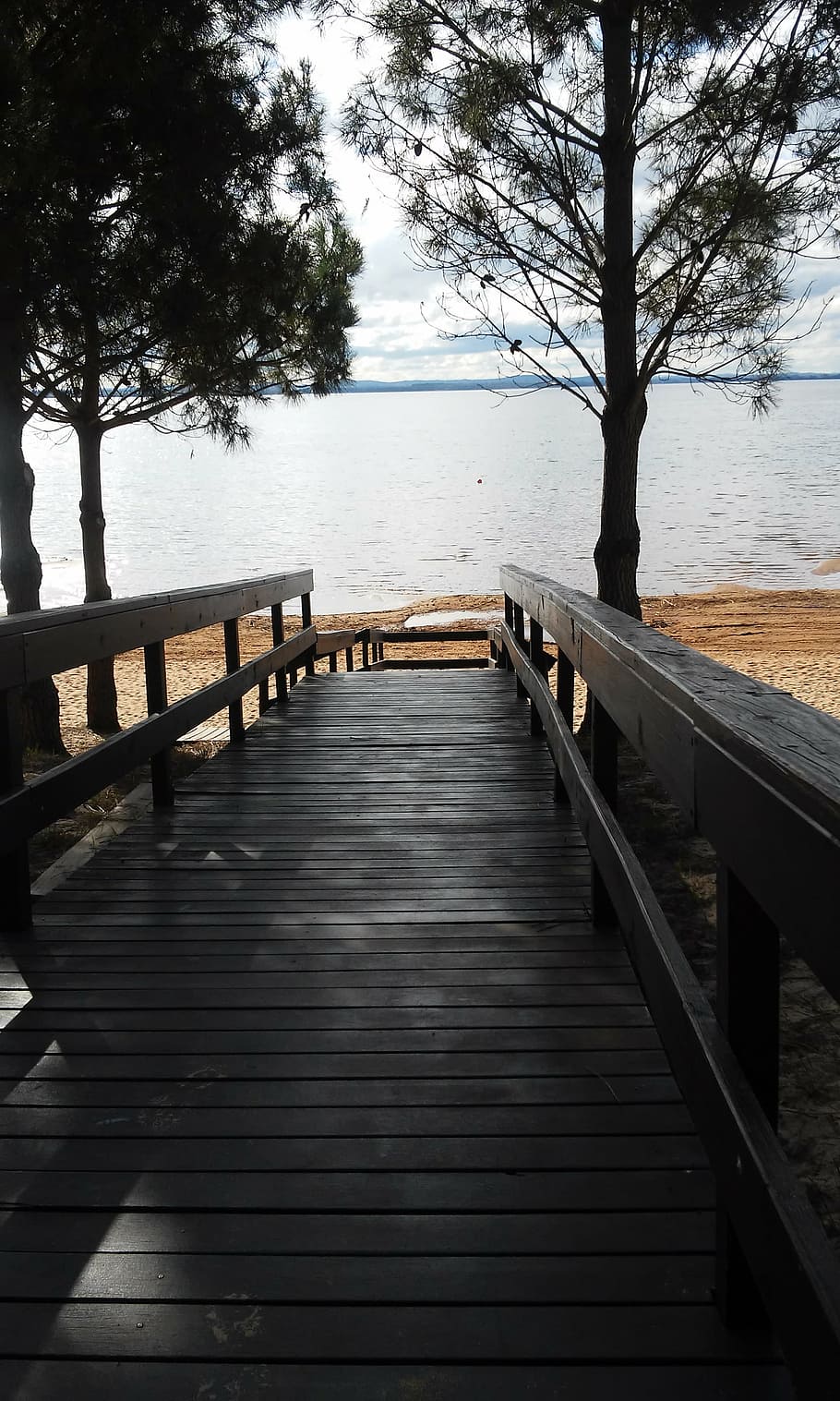 path, trees, tranquility, nature, lake, wood - Material, pier HD wallpaper
