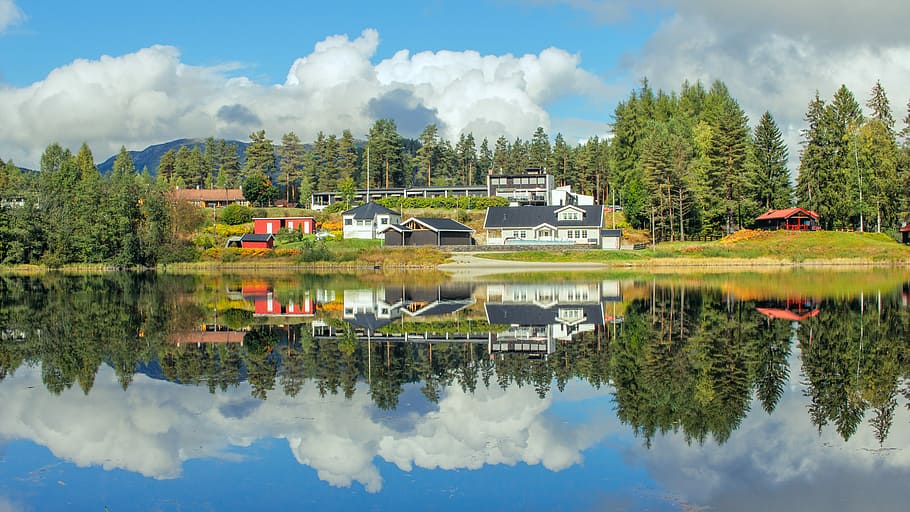 water, nature, reflection, lake, tree, norway, amazing, landscape HD wallpaper
