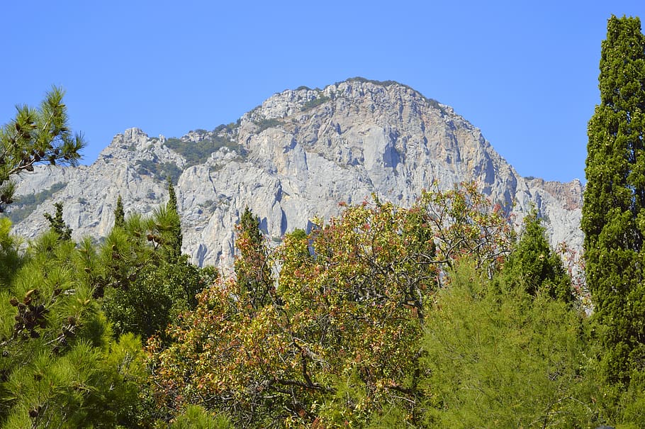 nature, landscape, mountain, sky, tree, plant, beauty in nature HD wallpaper