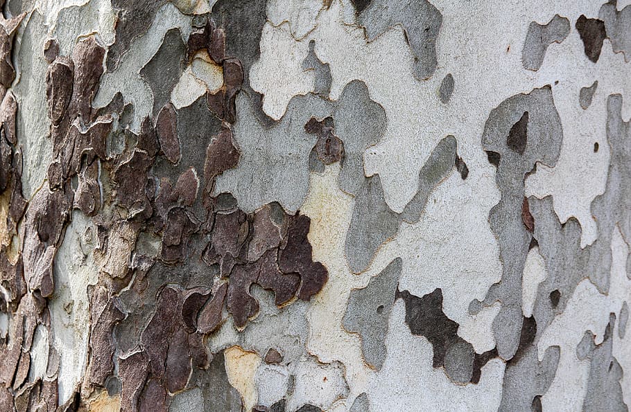 tree, rough, pattern, desktop, fabric, abstract, wood, full frame HD wallpaper