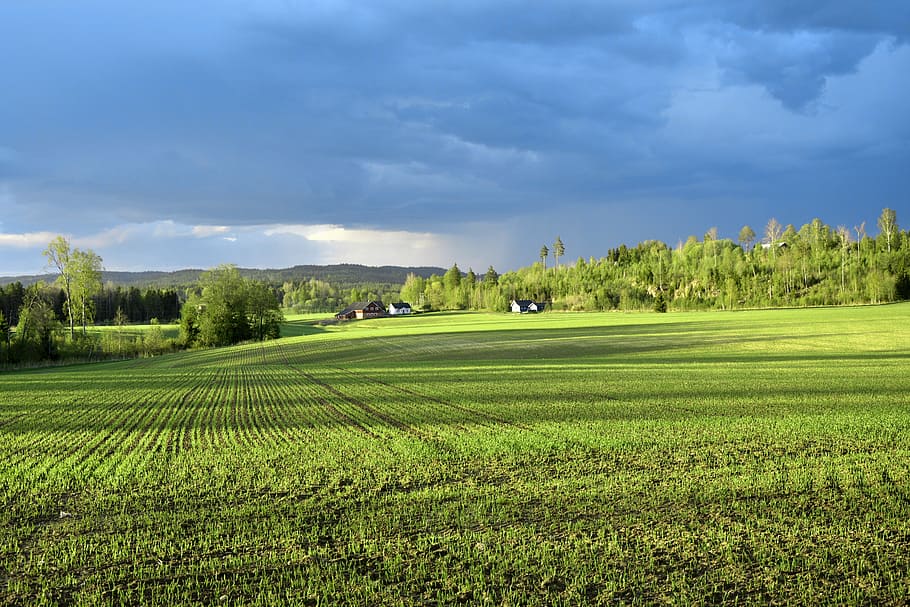 Field, Storm, Clouds, Landscape, storm clouds, view, nature HD wallpaper