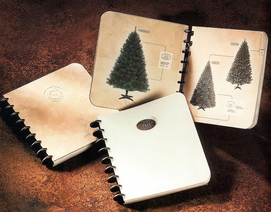 nostalgia, notebook, pine tree, table, indoors, high angle view HD wallpaper