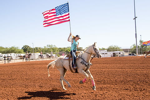 horse riding flag pole