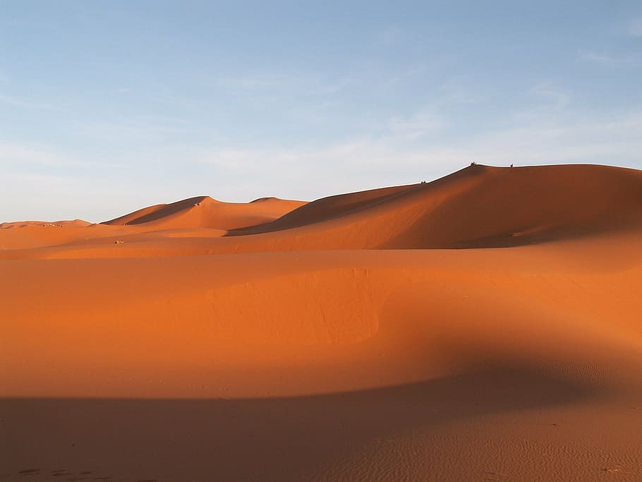desert, dune field, dunes, hot, landscape, nature, sand, sand dunes HD wallpaper