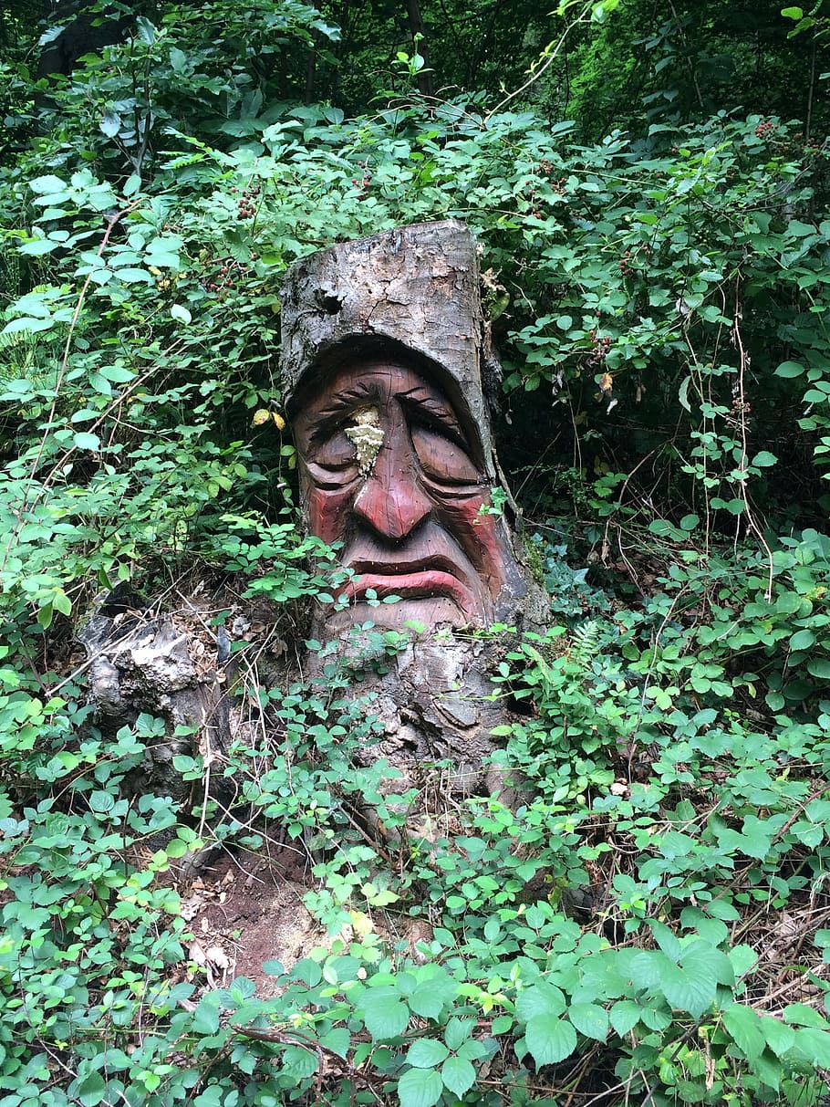 forest, dwarfs, palatinate, imp, fairy tales, nature, carve HD wallpaper
