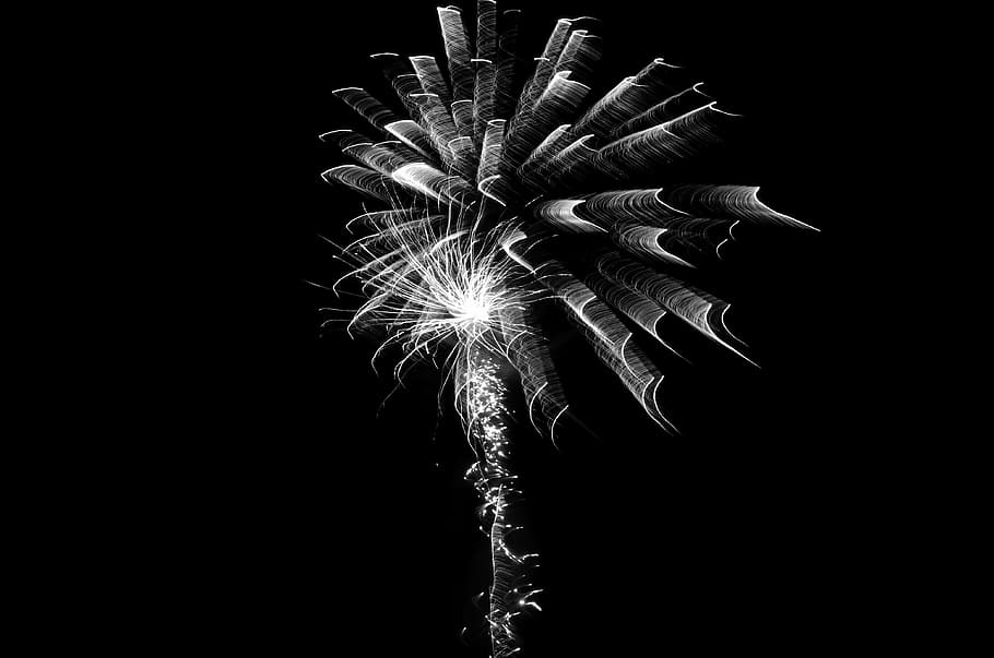 fireworks, black and white, celebration, event, explosion, sparkle, HD wallpaper