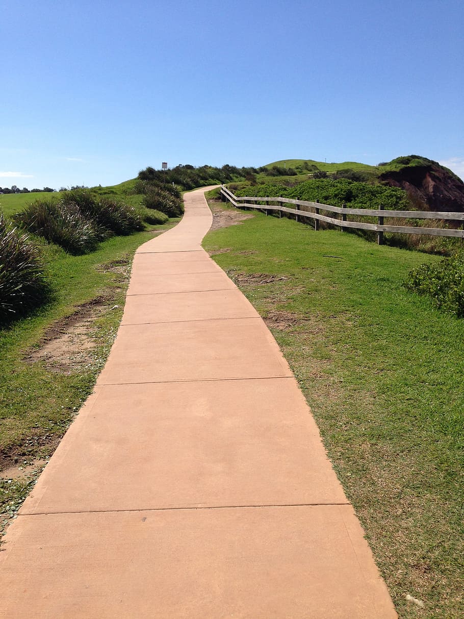 pathway, trail, nature, walk, open, outside, walking, direction HD wallpaper