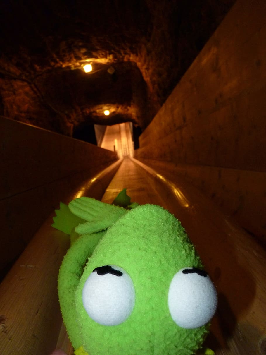 Frog, Kermit, Slip, Salt Mine, toy, no people, illuminated HD wallpaper