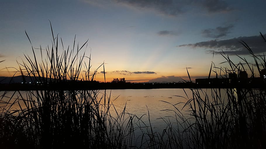 park, sunset, lake, sky, grass, black, water, beauty in nature HD wallpaper