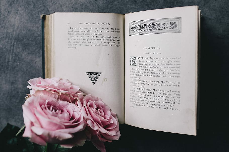 Lovely roseses, book and coffee, interior, resting, relax, essentials HD wallpaper