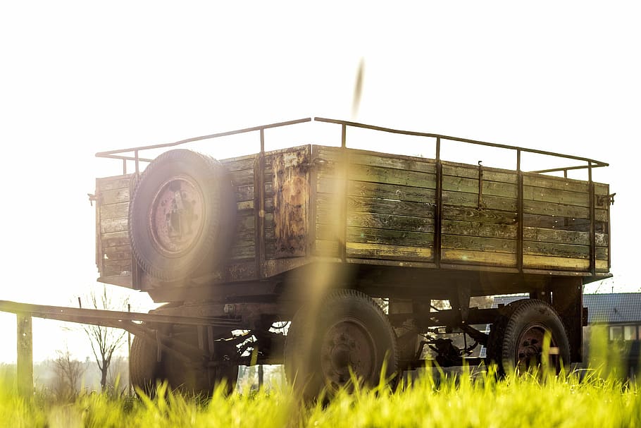 trailers, sun, meadow, grass, warm, oldtimer, summer, transportation HD wallpaper