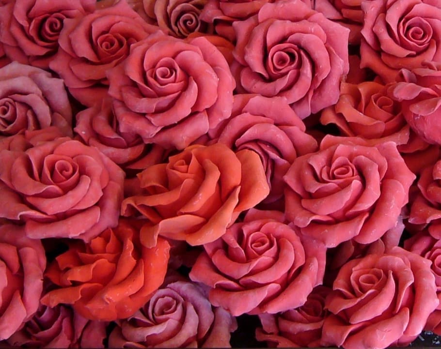 pink and red flowers, rose, soap, collection, group, specialty HD wallpaper