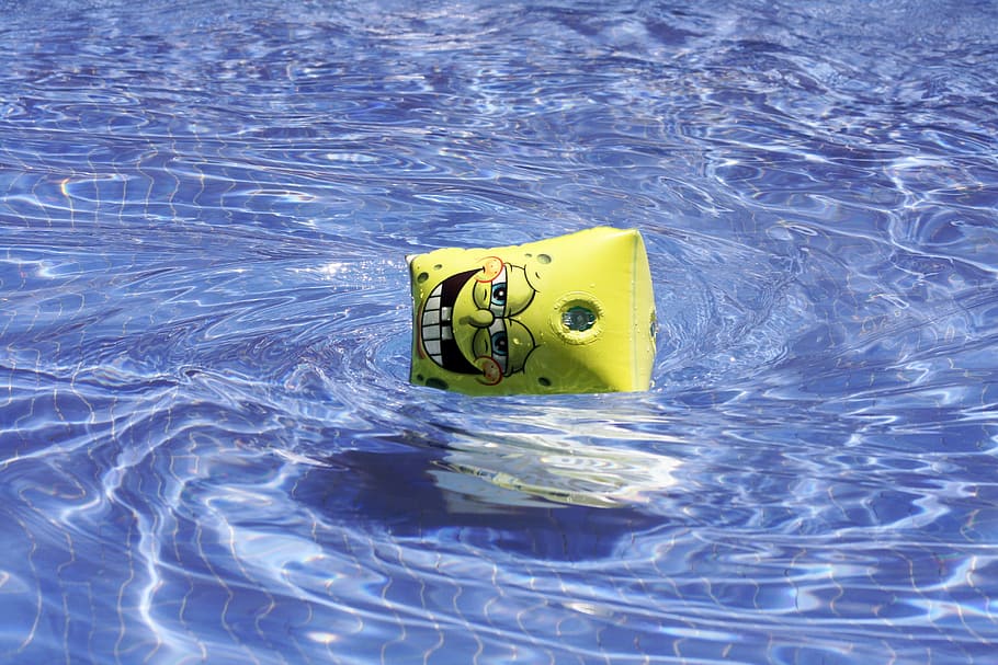 SpongeBob SquarePants floater floating on water, sleeve, sponge bob, HD wallpaper
