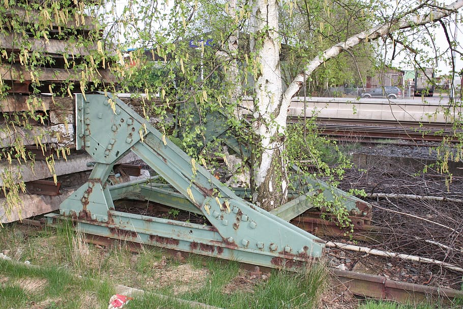 railroad track, paradox, birch, tree, overgrown, plant, abandoned HD wallpaper