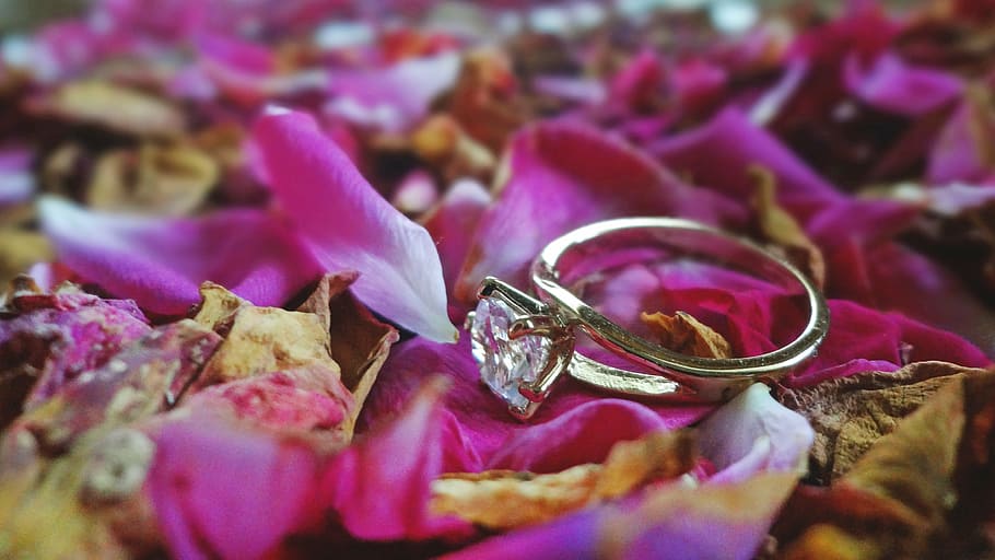 ring, wedding, light, soft, roses, gold, crystal, flower, close-up HD wallpaper