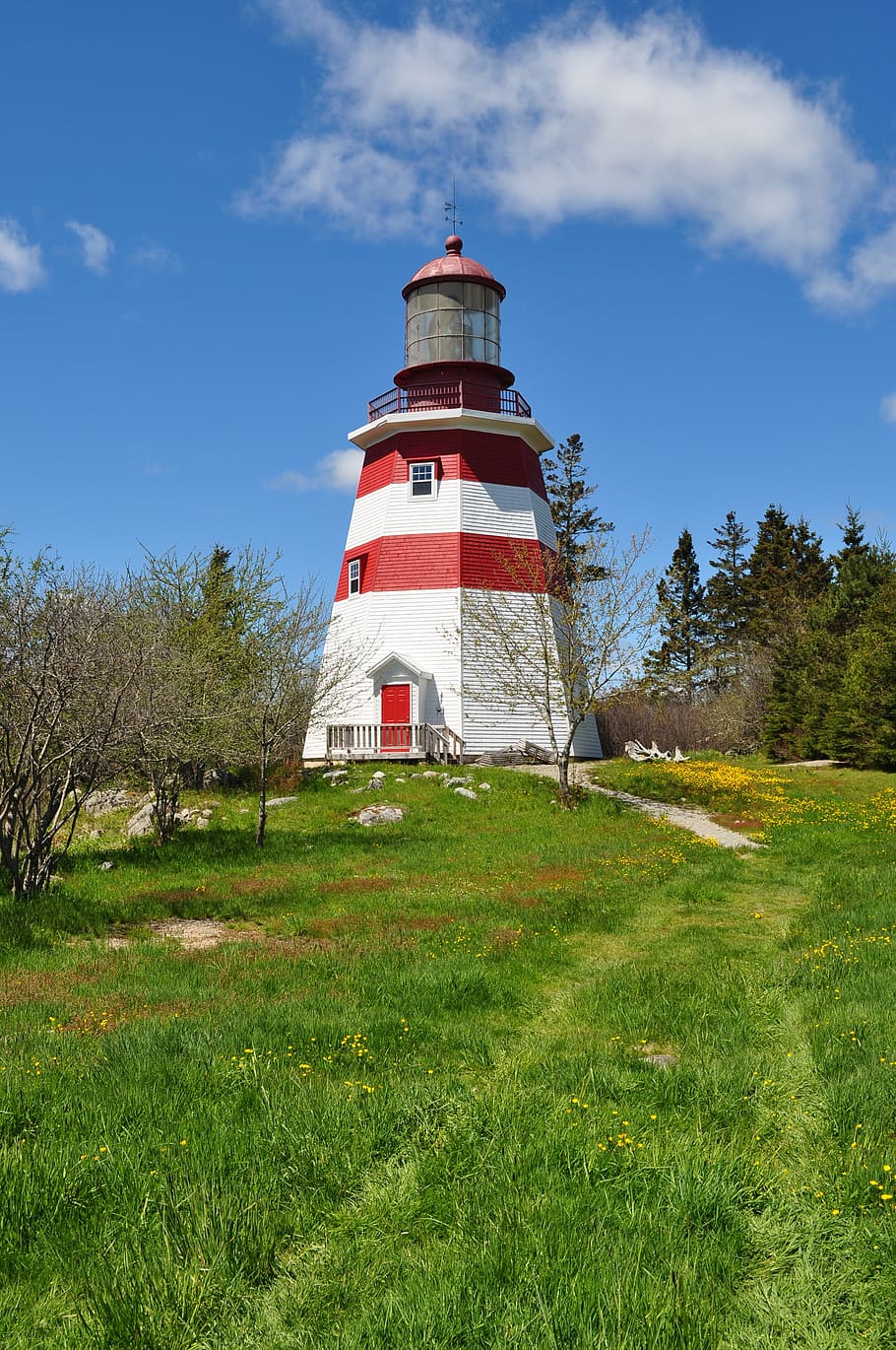 lighthouse, nova scotia, canada, landmark, beacon, sky, plant HD wallpaper