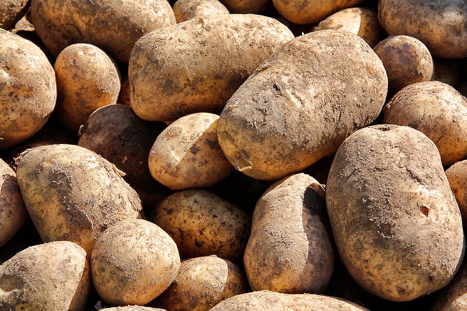 pile, food, background, potato, batch, healthy, vegetables HD wallpaper