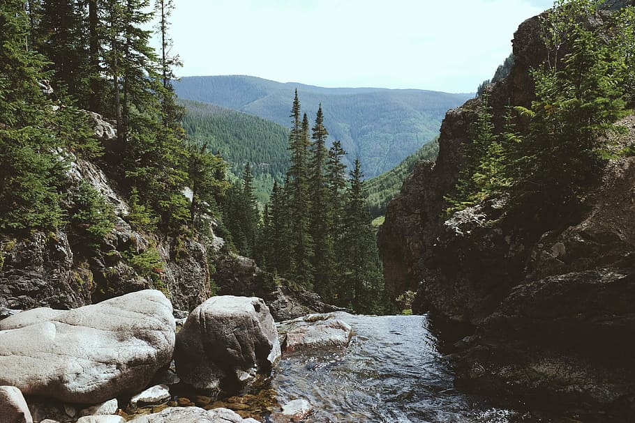 Nature’s Reward, green leafed trees, mouuntain, river, stream HD wallpaper