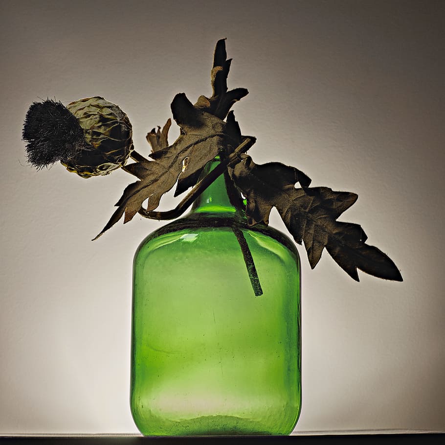 dried brown leaf on green glass bottle, green leaf plant with green glass vase HD wallpaper