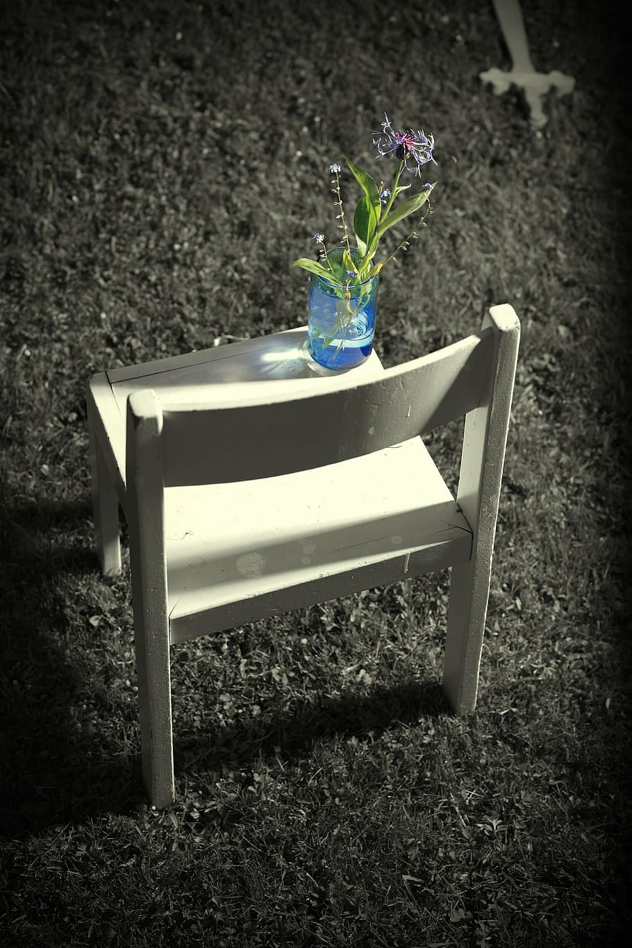 green plant in glass vase on chair, loss, sadness, pain, mourning