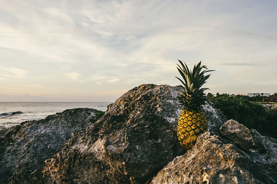 sea, landscape, nature, sky, beach, clouds, fruit, ocean, outdoors HD wallpaper