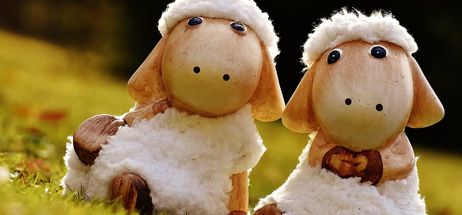 sheep, deco, ceramic, cute, figure, soft toy, wool, face, ungulate HD wallpaper