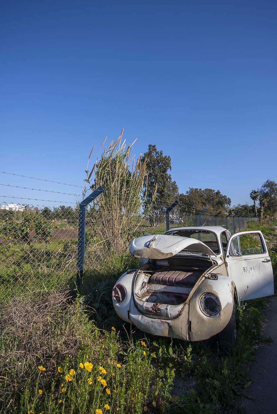 Car, Old, Scrap, Abandoned, rusty, deserted, field, rural, spring HD wallpaper