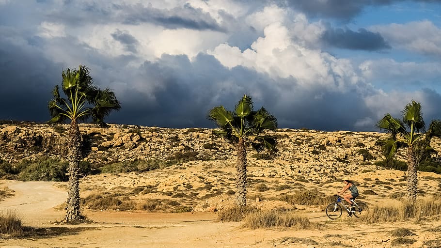 palm trees, sky, clouds, path, girl, biking, cloudy, stormy HD wallpaper