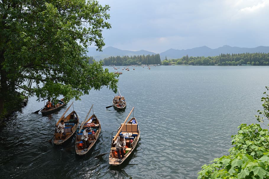 杭州, 西湖, 风景, 中国, tree, nautical vessel, river, HD wallpaper