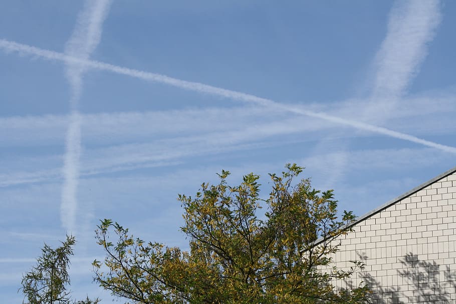 sky, trees, flight strips, vapor trail, plant, cloud - sky HD wallpaper