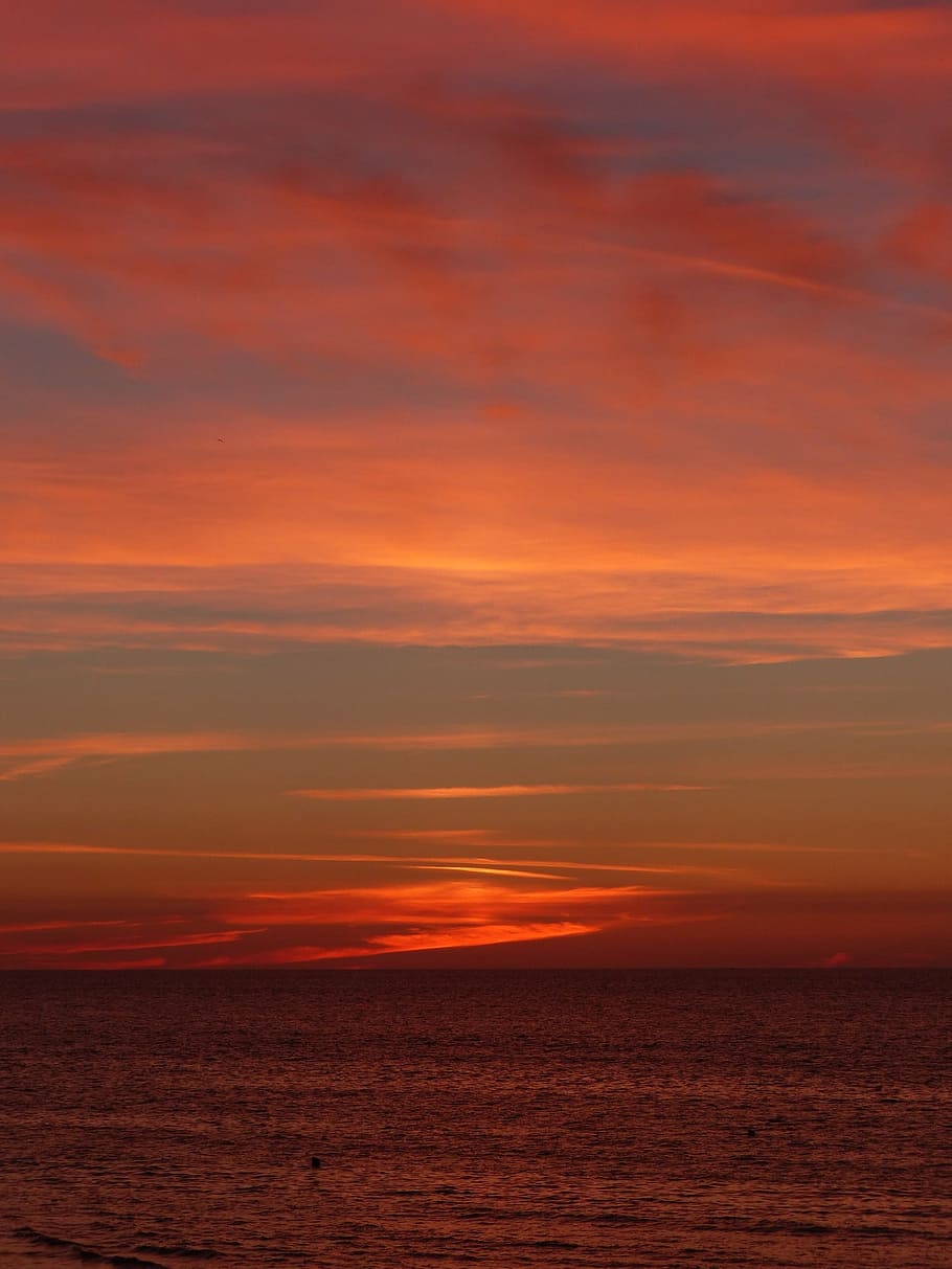 sunset, clouds, sky, orange, ocean, evening, sea, nature, dusk HD wallpaper