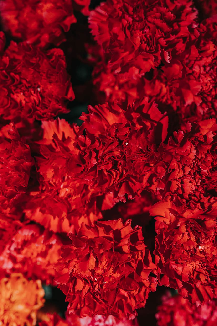 Collection of colourful flower bouquets, flowers, roses, flora HD wallpaper