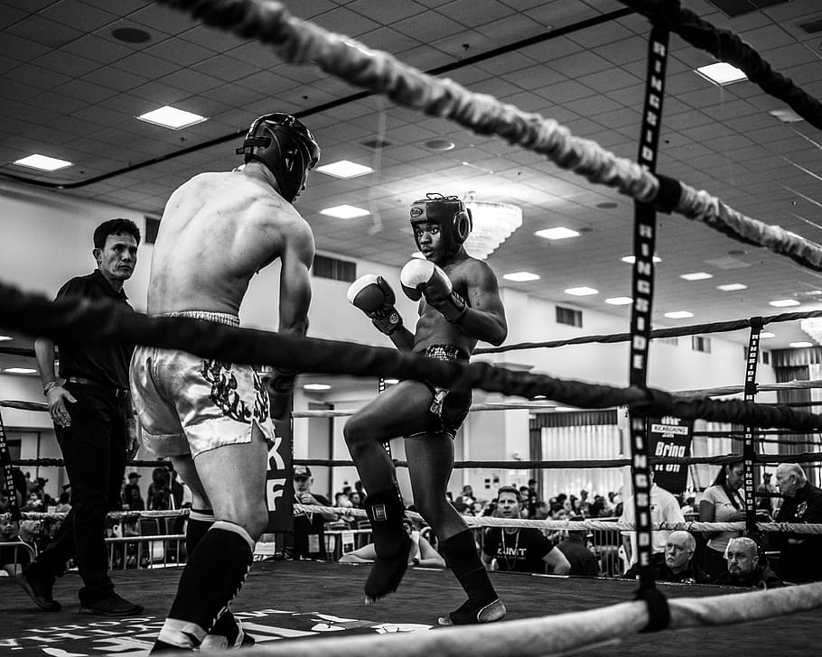 grayscale photo of boxing sparring, grayscale photo of boxers on ring
